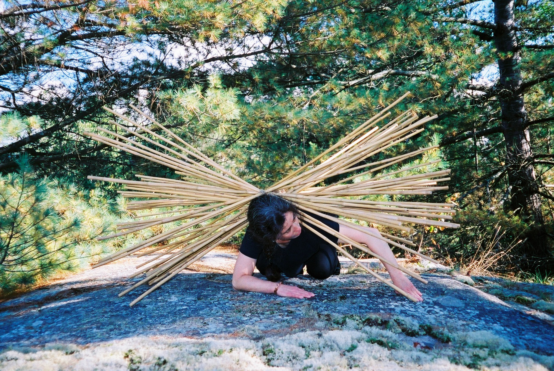 Dance artist Janice Pomer performing at the Tree Museum, ON Canada. She is crouching down on a rock in a forest with a large quiver of bamboo poles balanced on her back.
